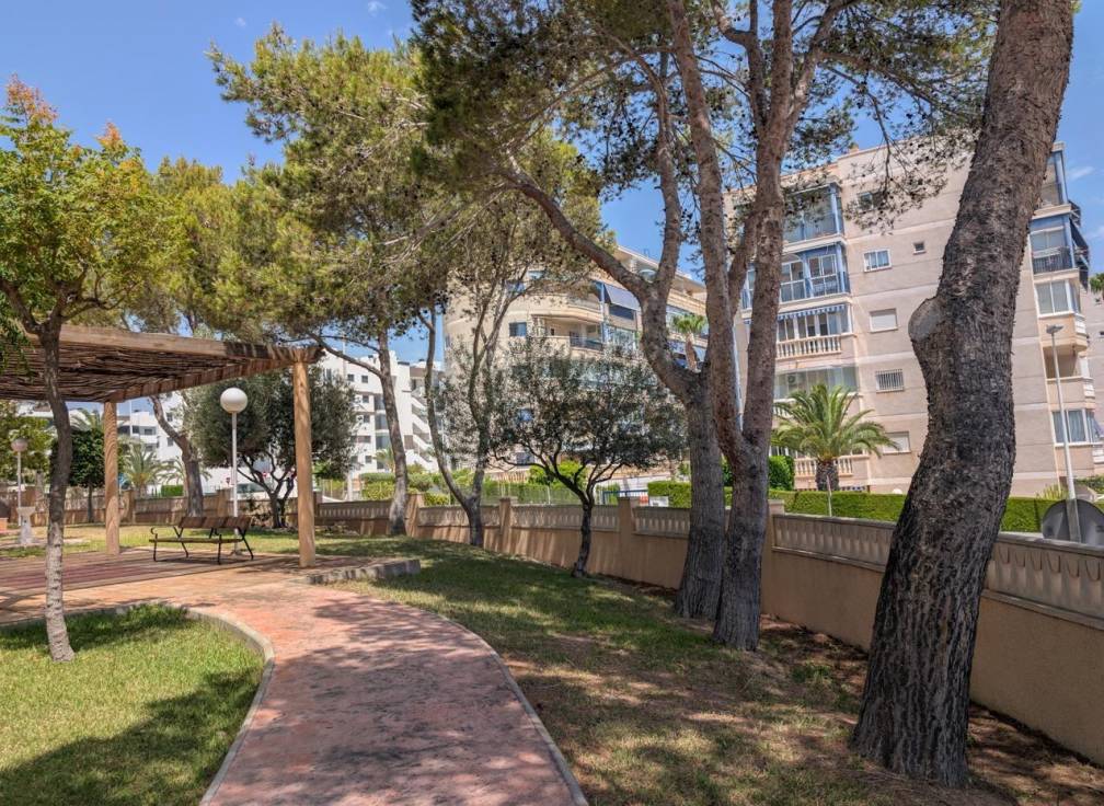 Revente - Appartement - Elche - Playa arenales del sol