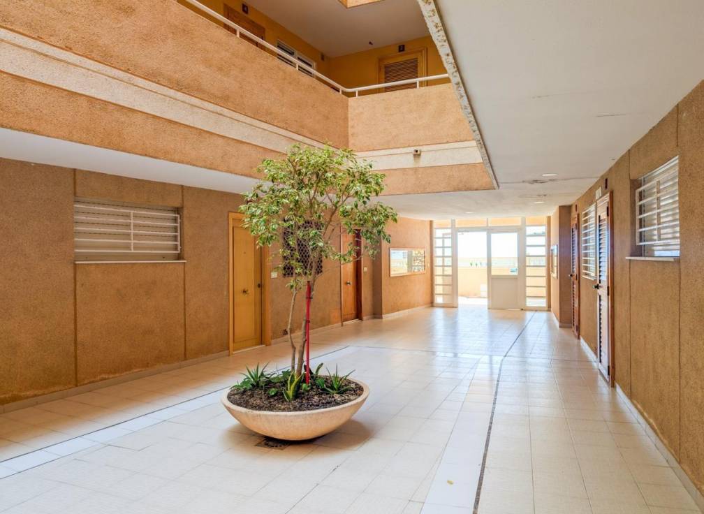 Revente - Appartement - Elche - Playa arenales del sol