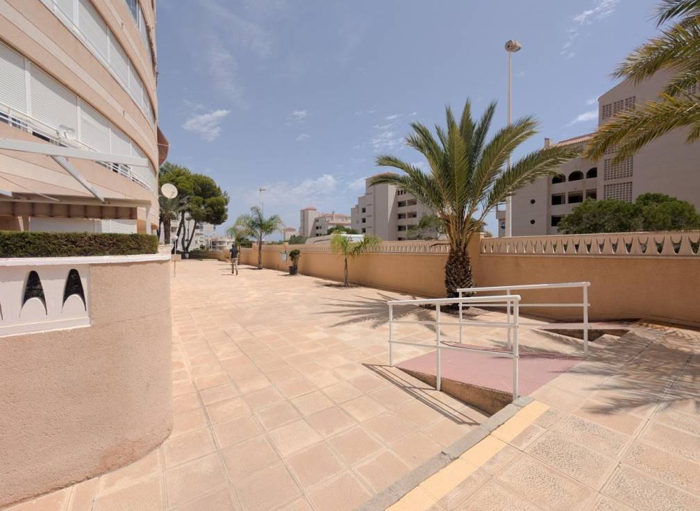 Revente - Appartement - Elche - Playa arenales del sol