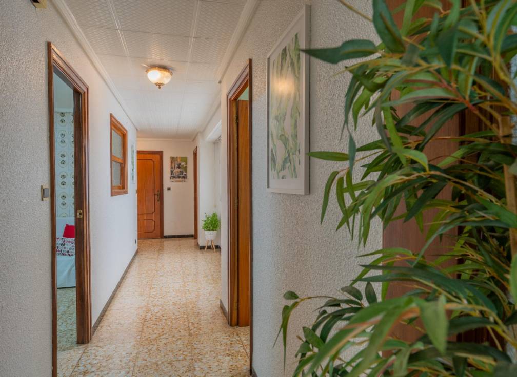 Revente - Appartement - Elche - Pont Nou-Corazón de Jesús