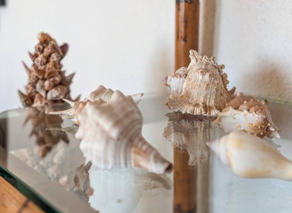 Revente - Appartement - Santa Pola - Calas de Santiago Bernabeu