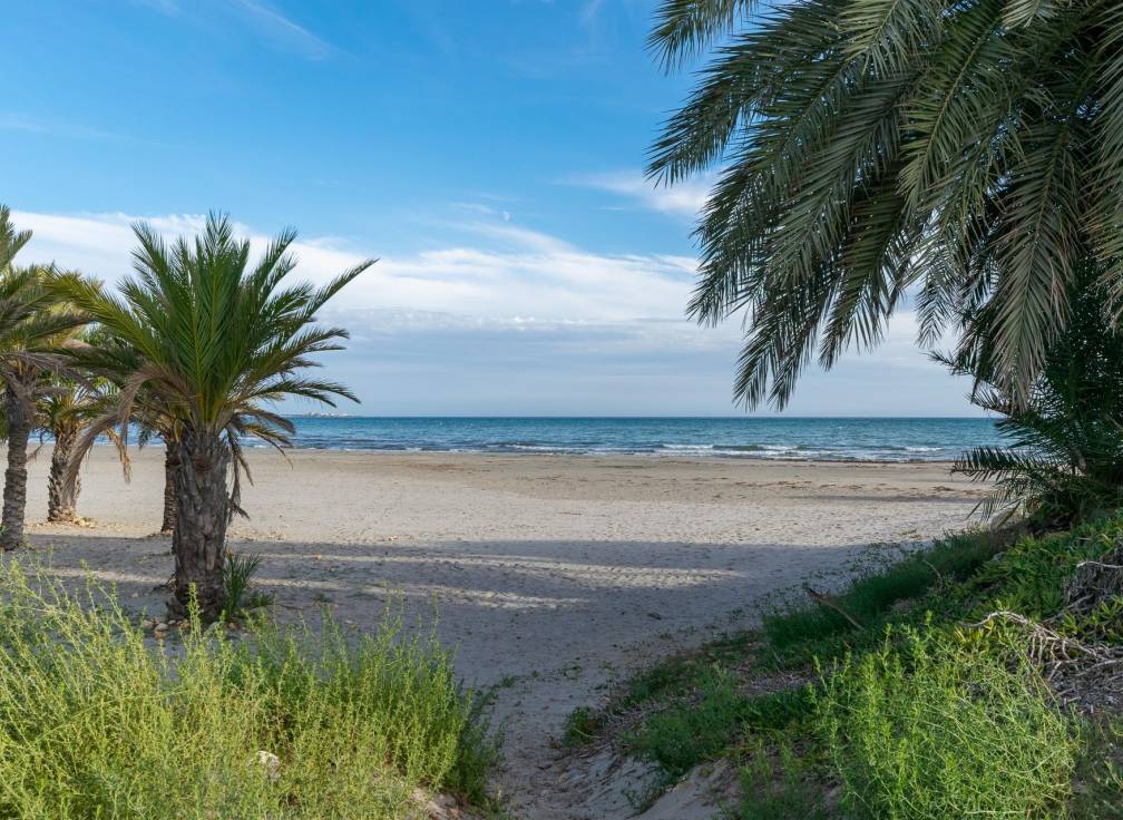 Revente - Appartement - Santa Pola - Varadero