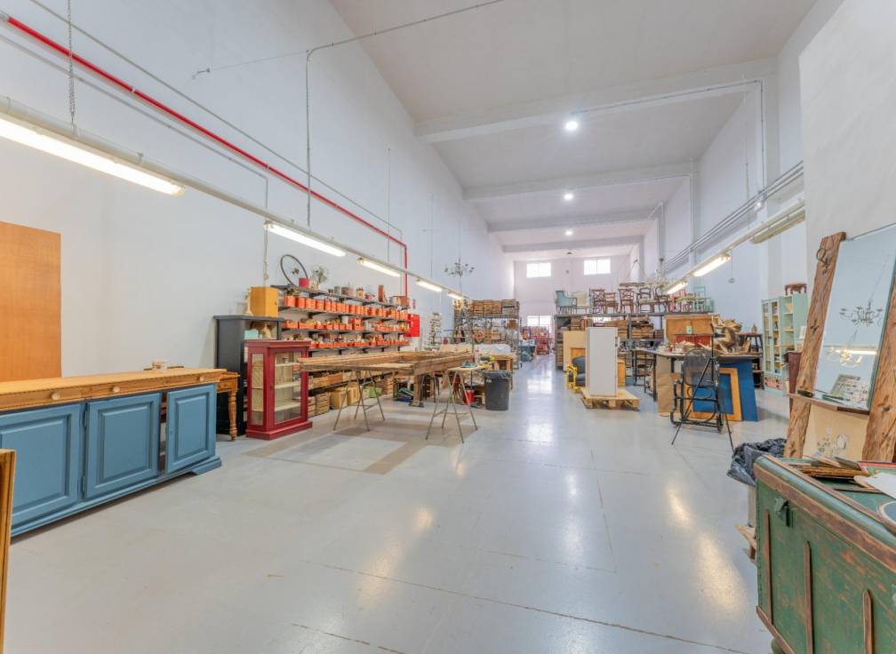 Revente - Bâtiment industriel - Elche - Carrus