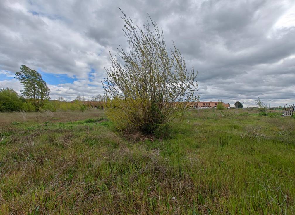 Revente -  - Dueñas - Castilla y leon