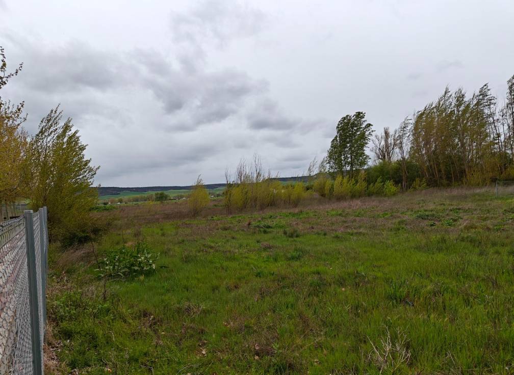 Revente -  - Dueñas - Castilla y leon