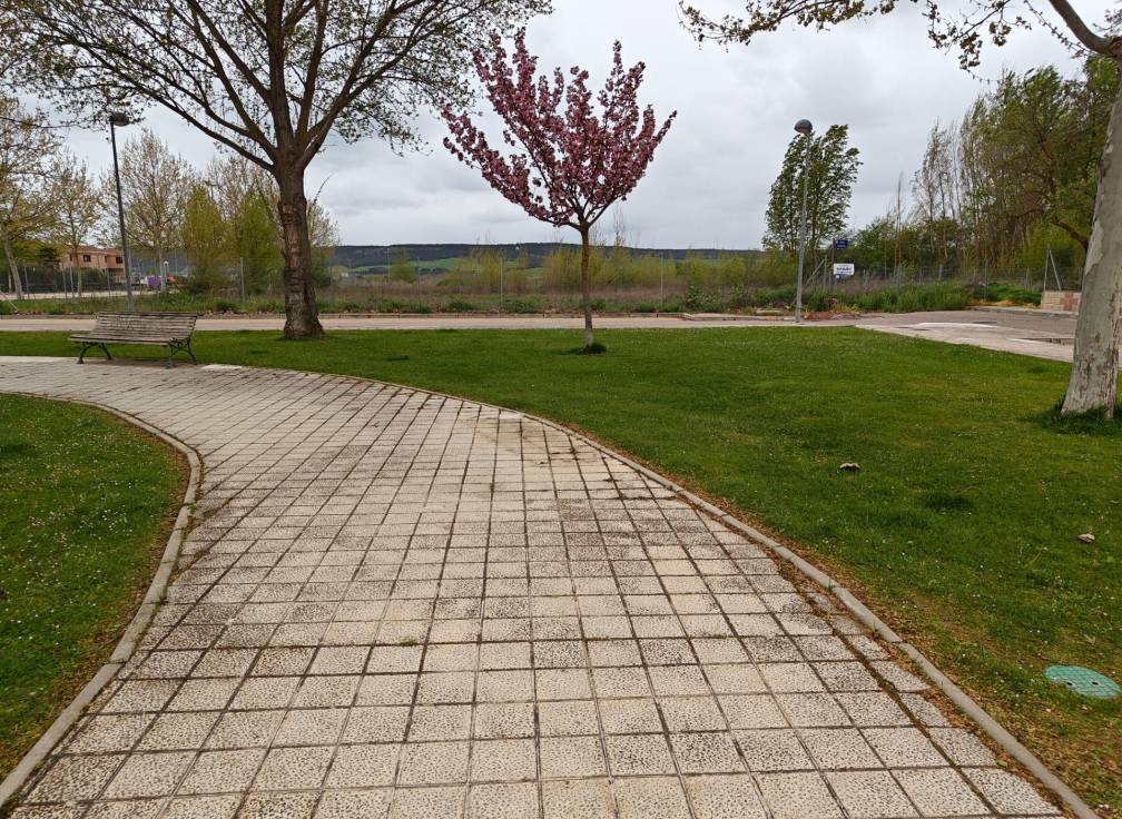 Revente -  - Dueñas - Castilla y leon