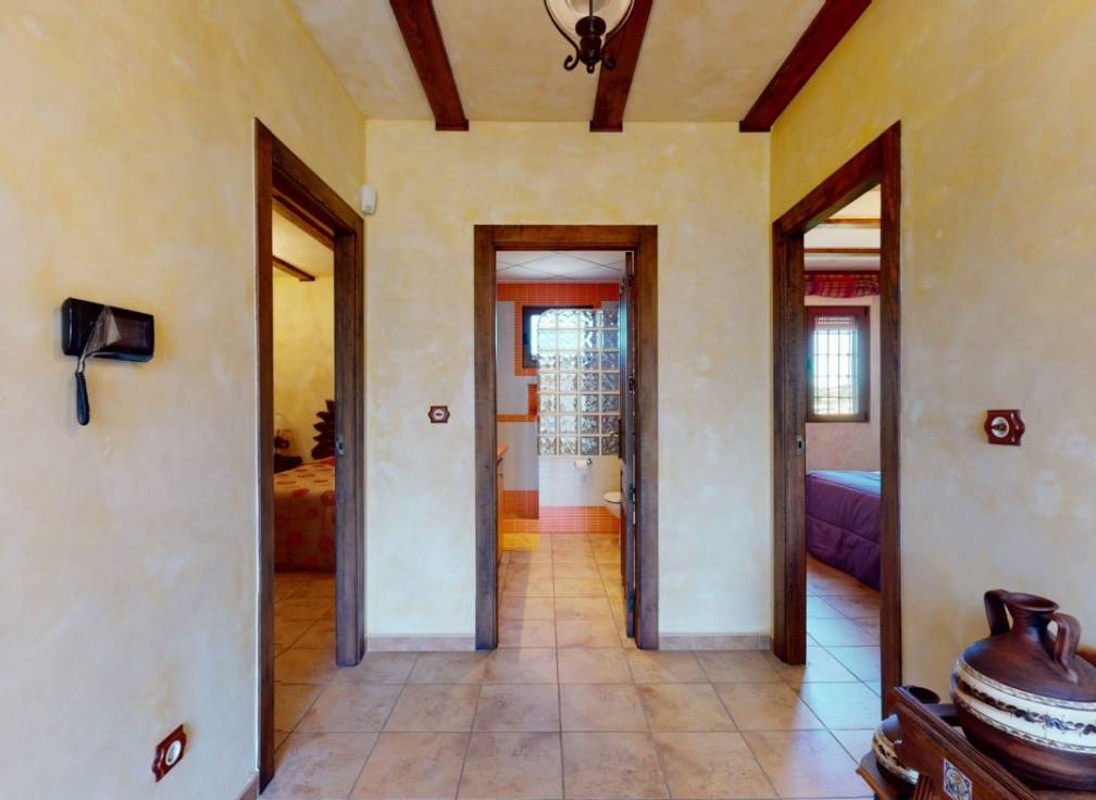 Revente -  - Elche - Bonavista