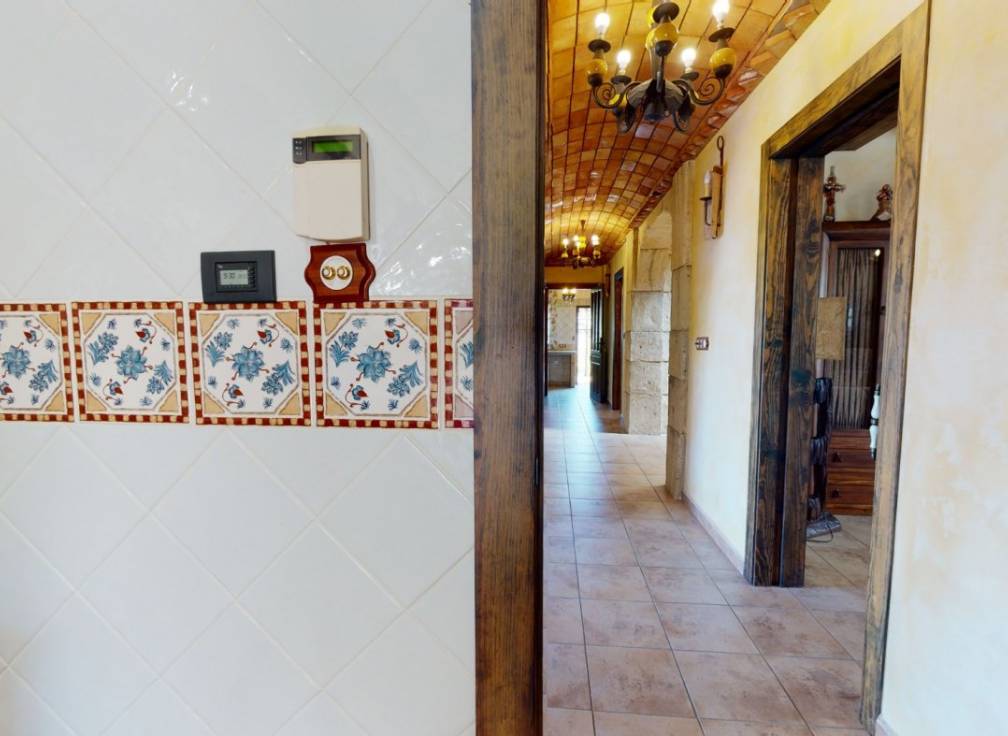 Revente -  - Elche - Bonavista