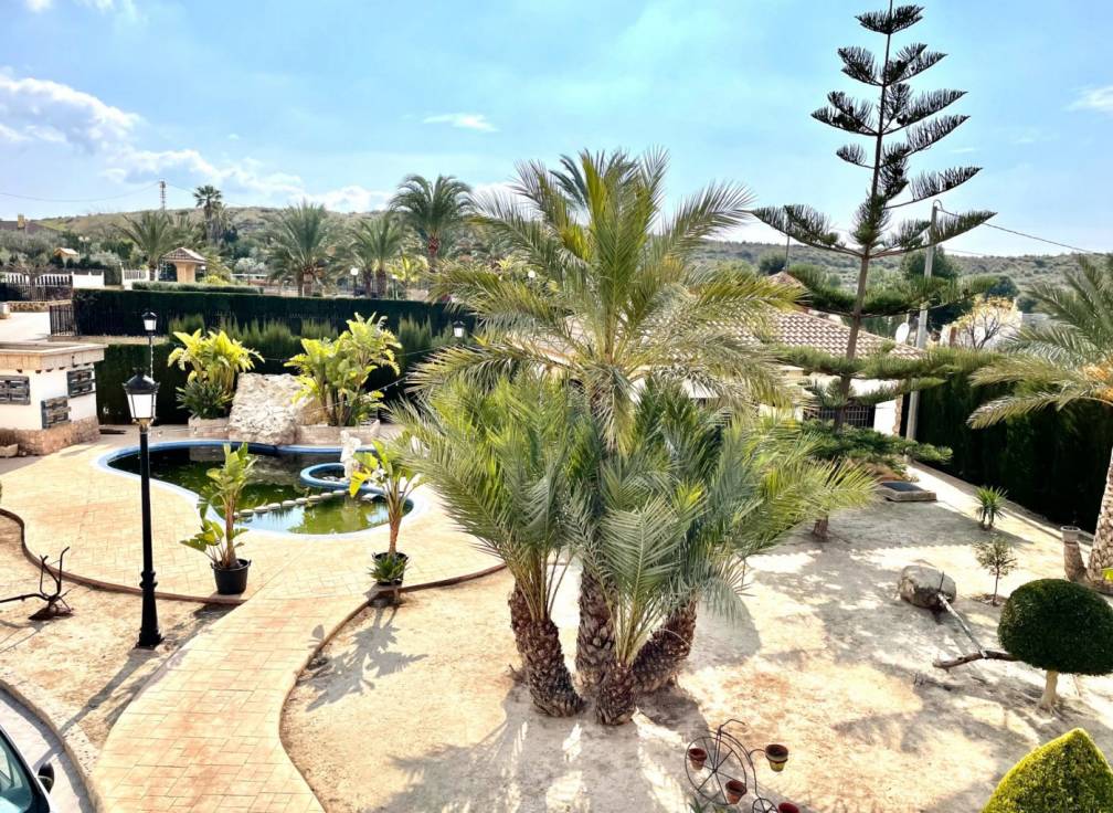 Revente -  - Elche - Bonavista