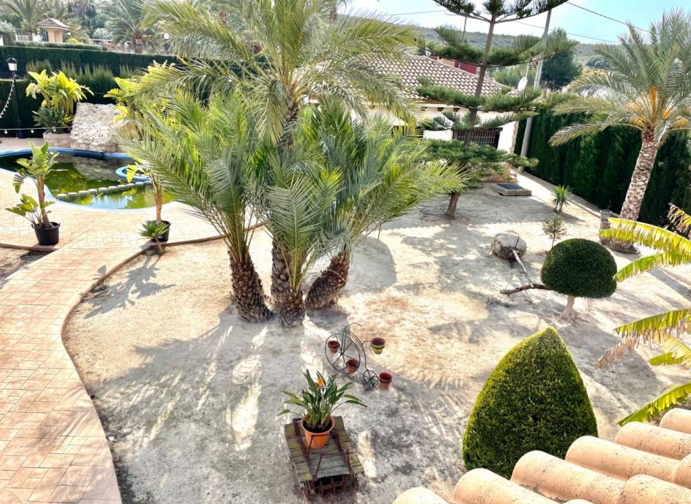 Revente -  - Elche - Bonavista