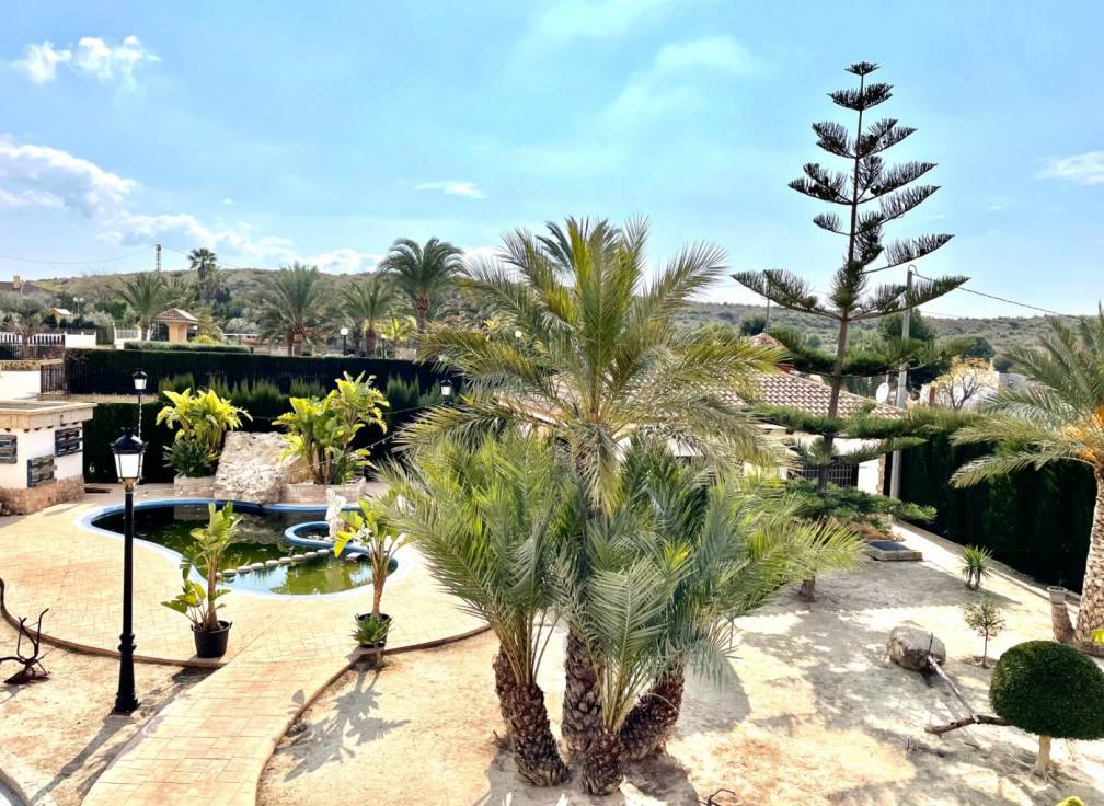 Revente -  - Elche - Bonavista