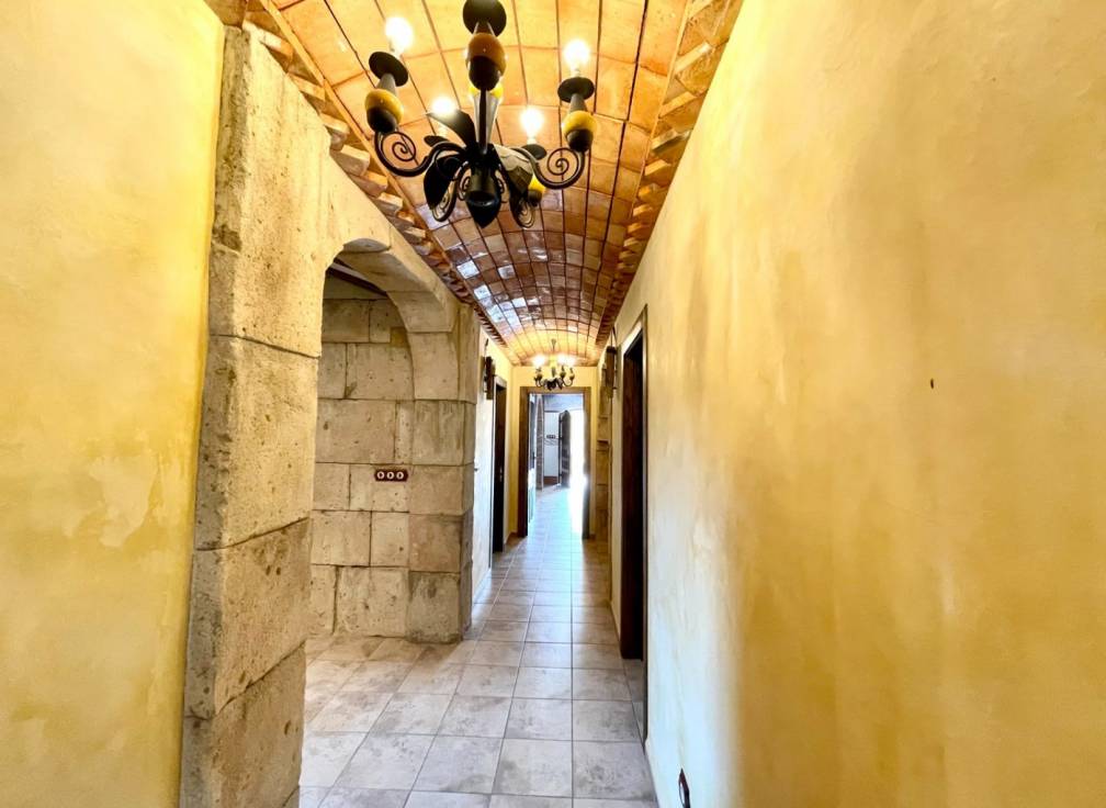 Revente -  - Elche - Bonavista