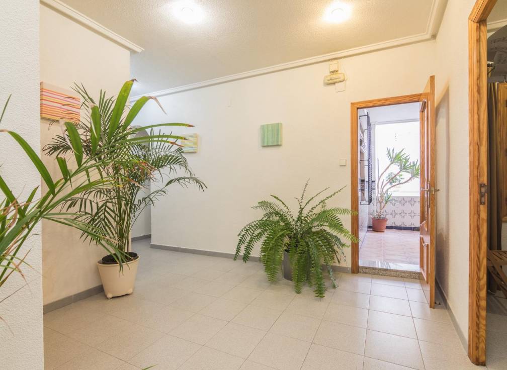 Revente -  - Elche - Los Magros-Casablanca