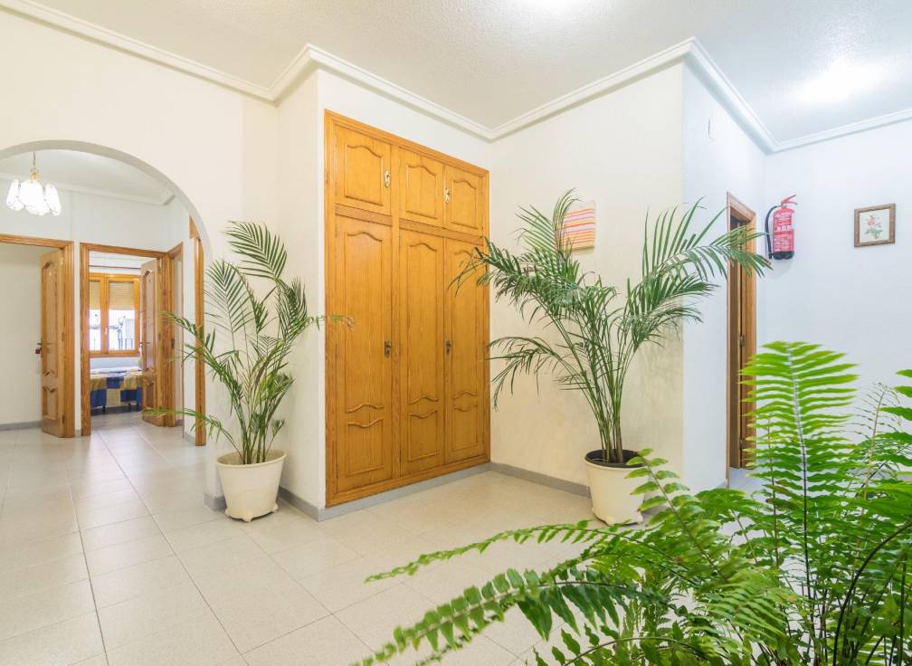 Revente -  - Elche - Los Magros-Casablanca