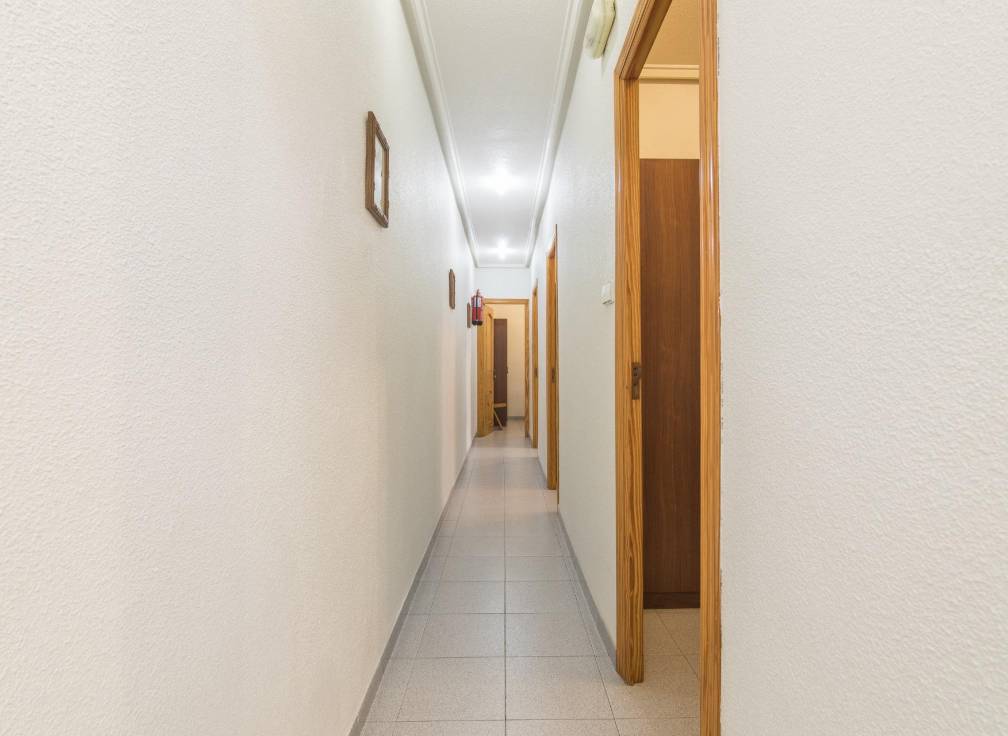 Revente -  - Elche - Los Magros-Casablanca