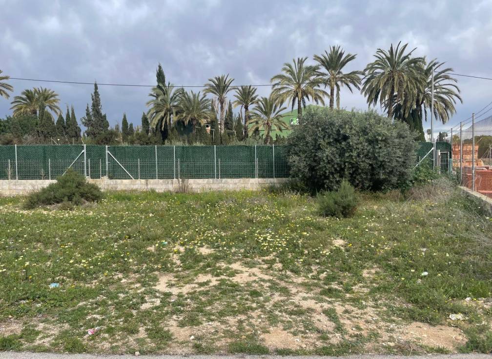 Revente -  - Elche Pedanías - Matola