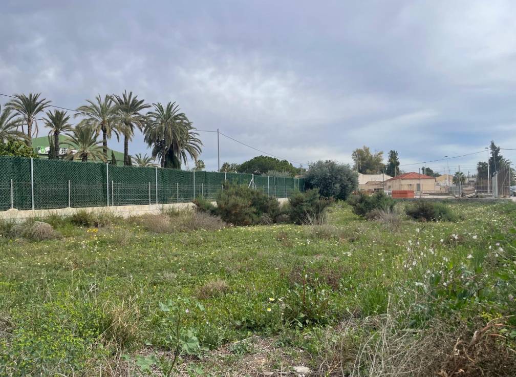 Revente -  - Elche Pedanías - Matola