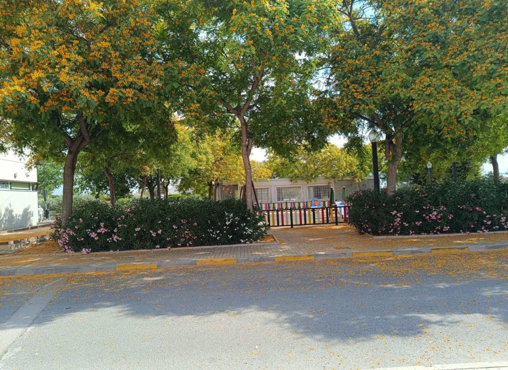 Revente - Jumelée - Perleta - Maitino-Perleta