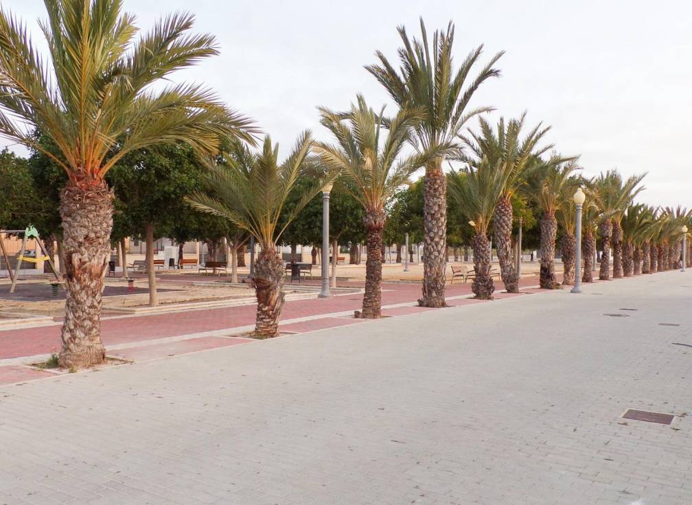 Revente -  - La hoya - La Hoya-Daimes-El Derramador