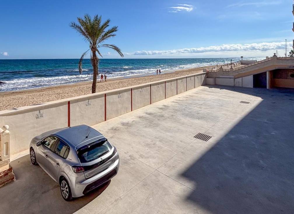 Revente - Local commerciel - Arenales del Sol