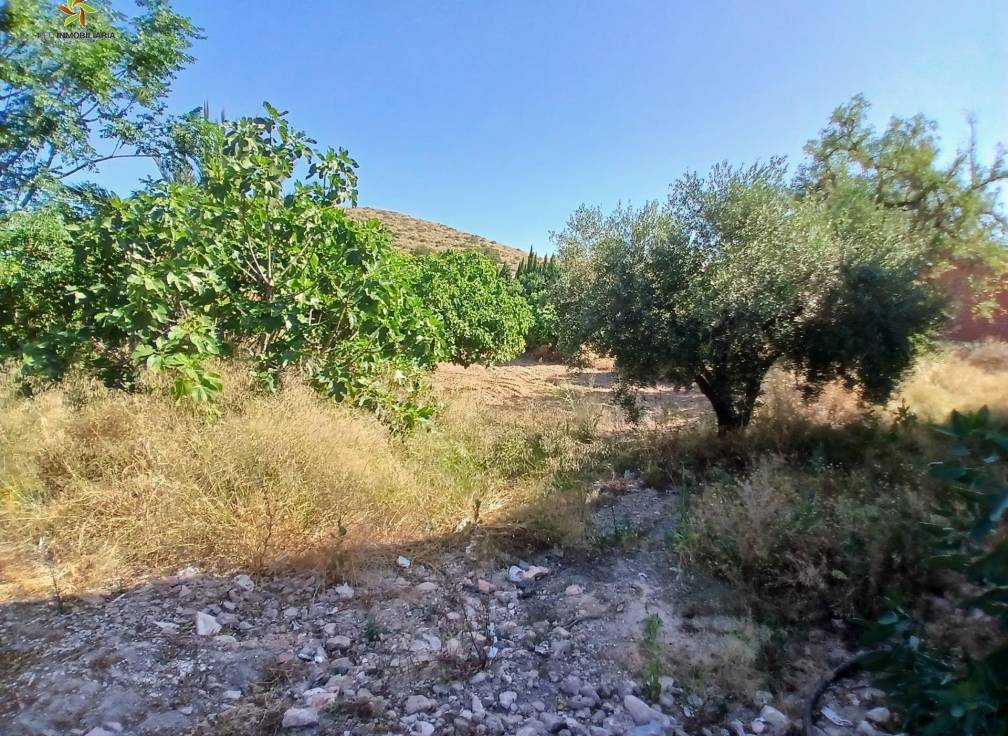 Revente - Maison - Algueña - Algeña alicante