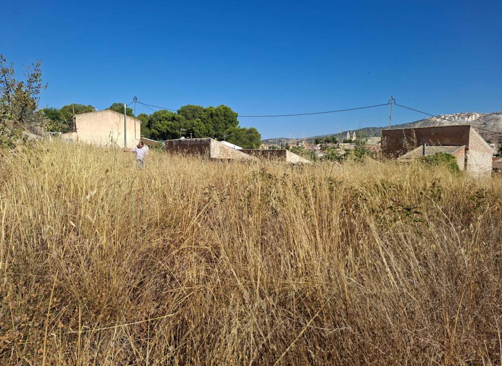 Revente - Maison - Algueña