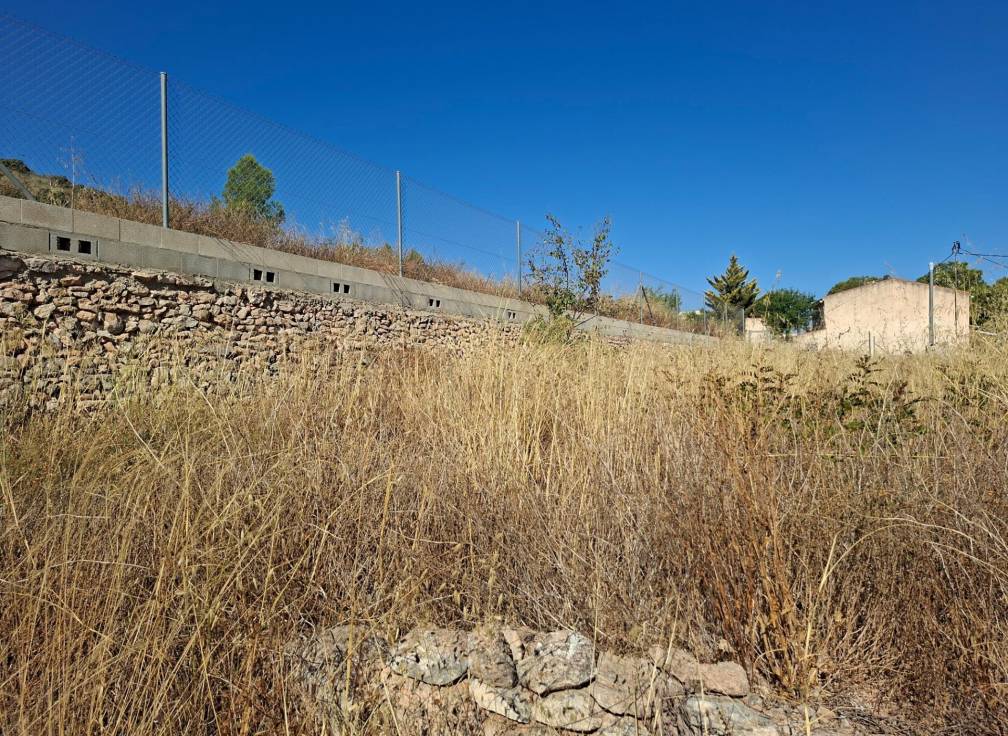 Revente - Maison - Algueña