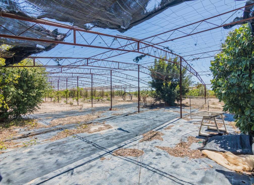 Revente - Maison avec terre - Elche Pedanías - La Hoya