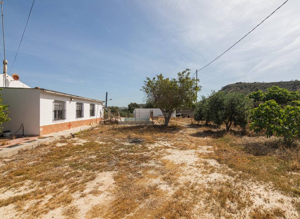 Revente - Maison de campagne - Elche - Carrus