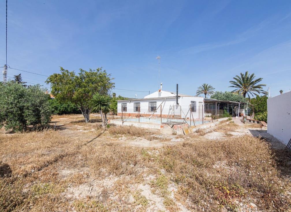 Revente - Maison de campagne - Elche - Carrus