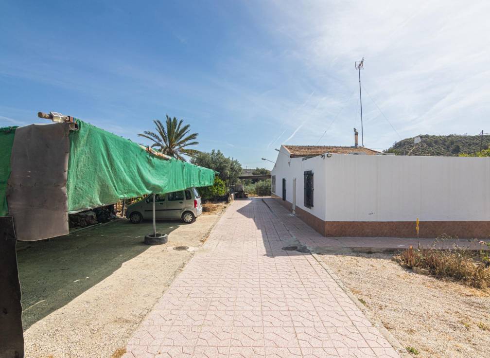 Revente - Maison de campagne - Elche - Carrus