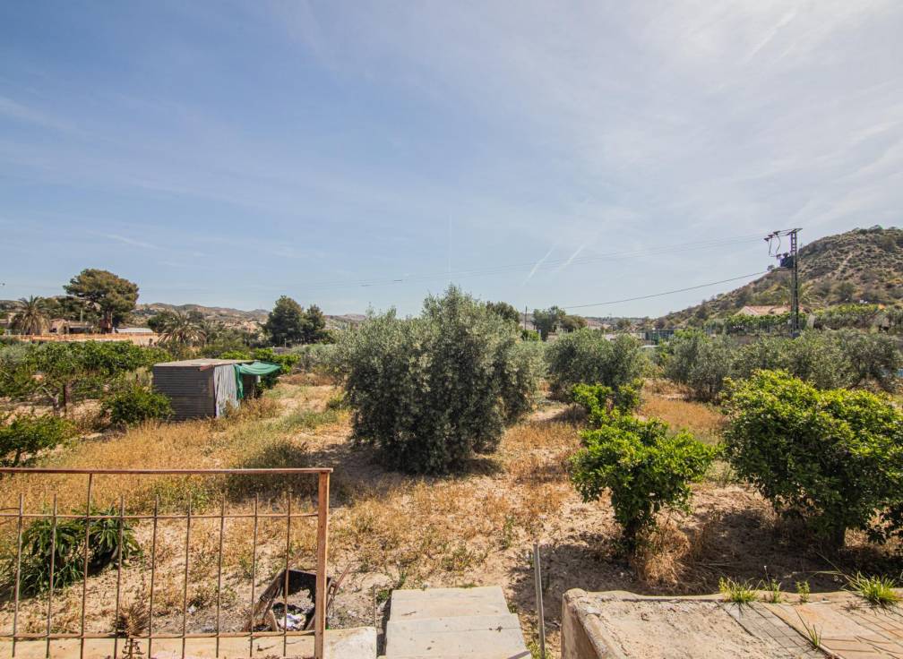 Revente - Maison de campagne - Elche - Carrus