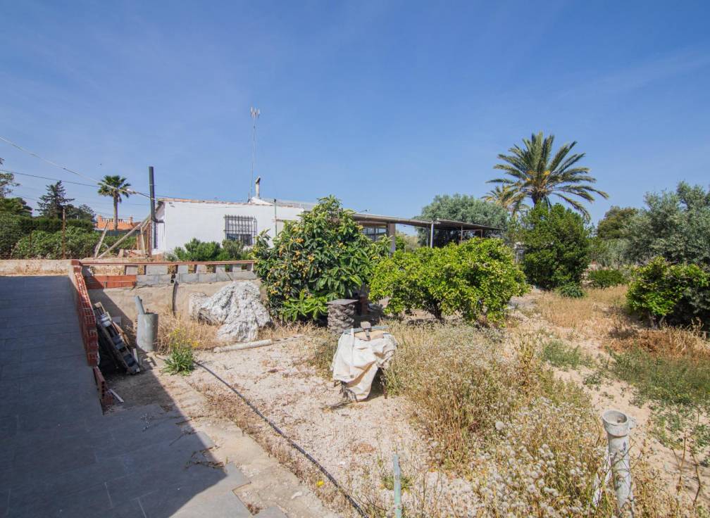 Revente - Maison de campagne - Elche - Carrus