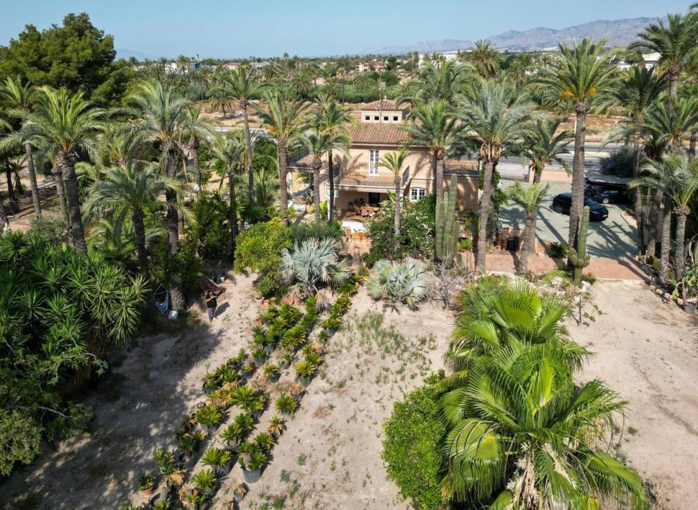 Revente - Maison de campagne - Elche Pedanías - Alzabares