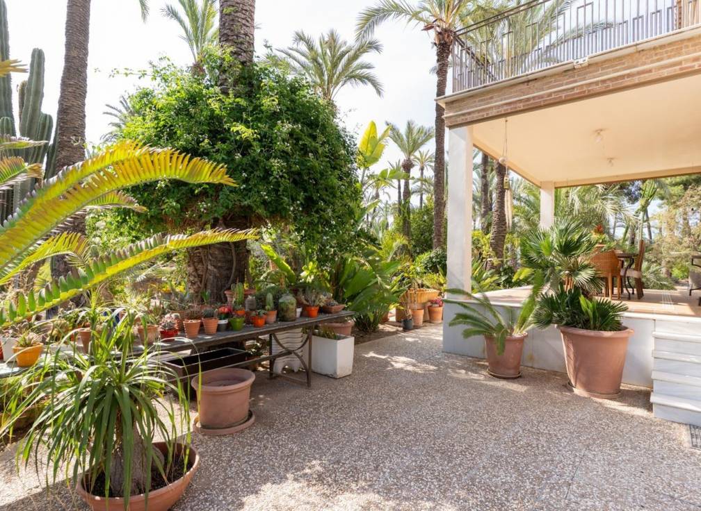 Revente - Maison de campagne - Elche Pedanías - Alzabares