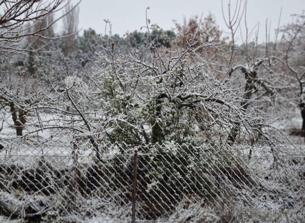 Revente - Maison - Riopar - Castilla la mancha
