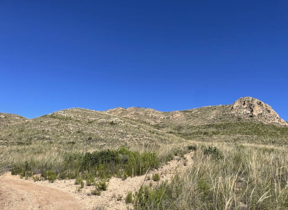 Revente - Terrain à bâtir - Lietor - Castilla la mancha
