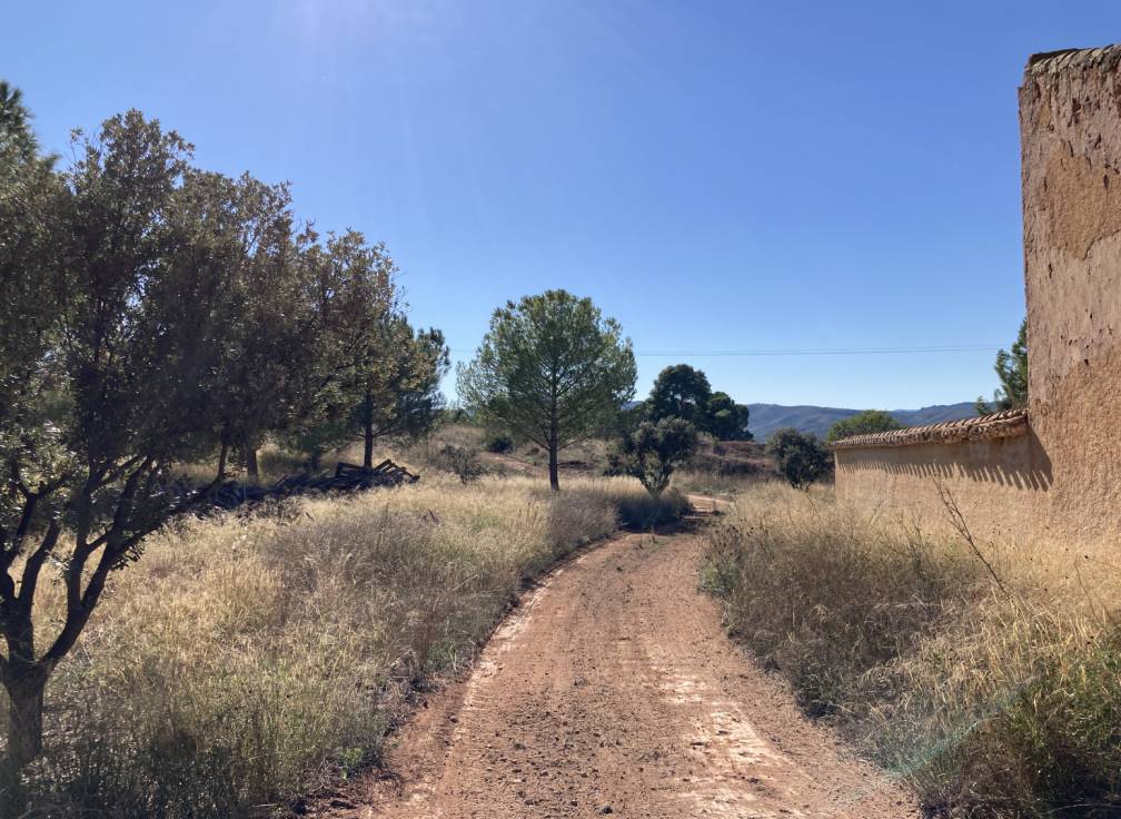 Revente - Terrain à bâtir - Lietor - Castilla la mancha