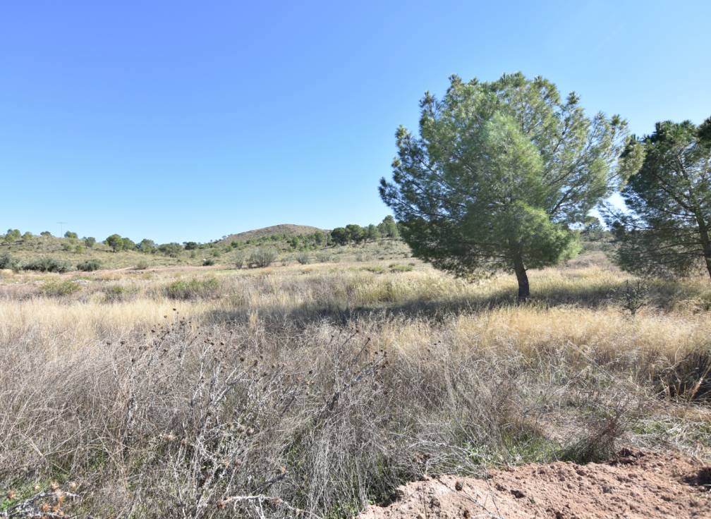 Revente - Terrain à bâtir - Lietor - Castilla la mancha