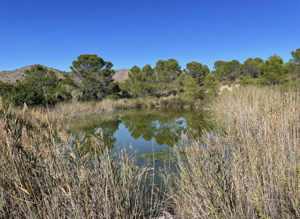 Revente - Terrain à bâtir - Lietor - Castilla la mancha