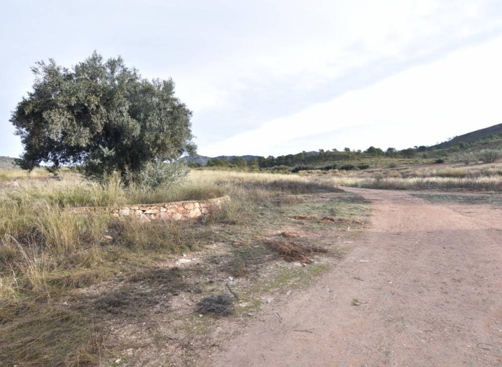 Revente - Terrain à bâtir - Lietor - Castilla la mancha