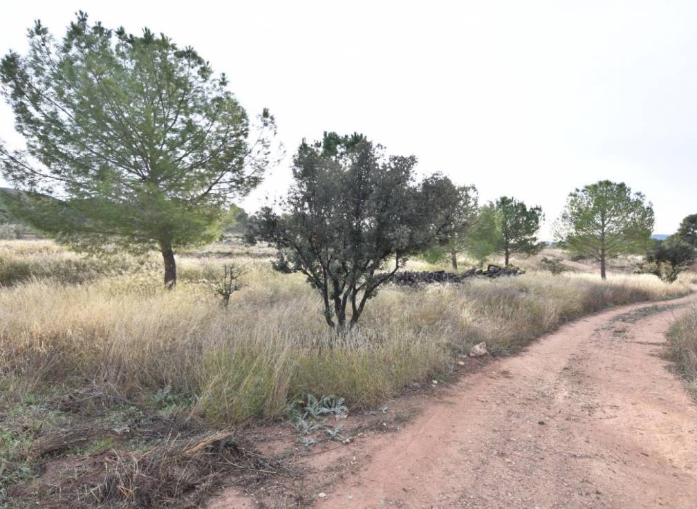 Revente - Terrain à bâtir - Lietor - Castilla la mancha