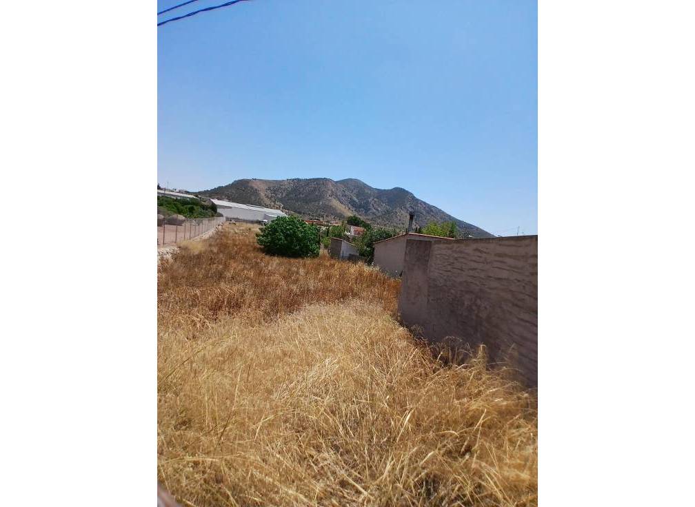 Revente - Terrain - Algueña