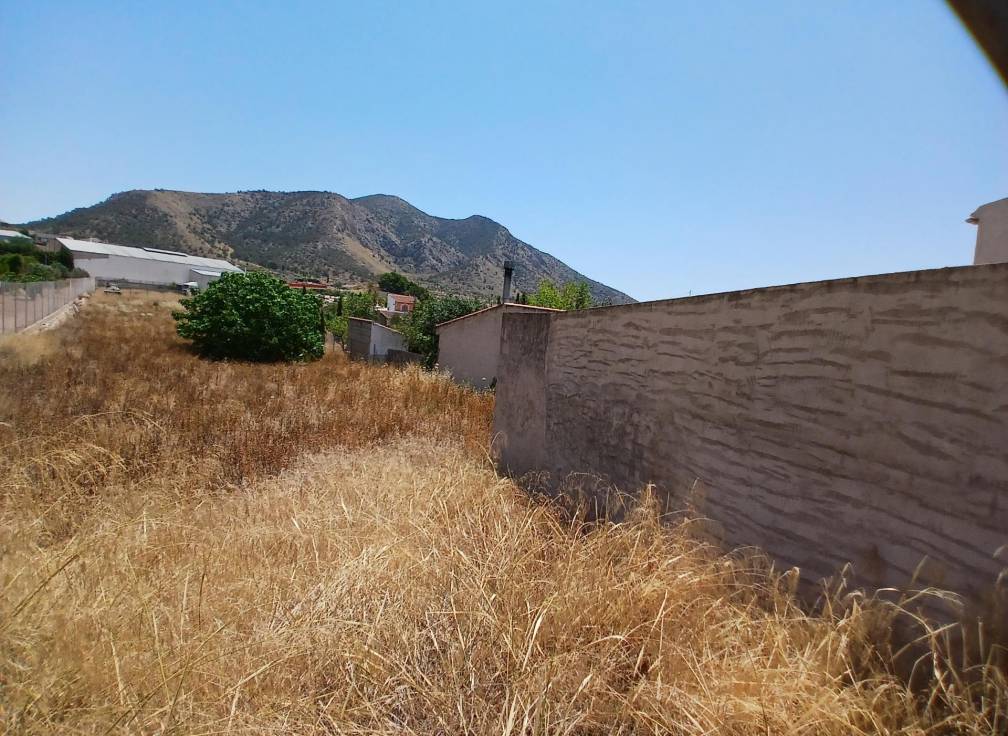 Revente - Terrain - Algueña