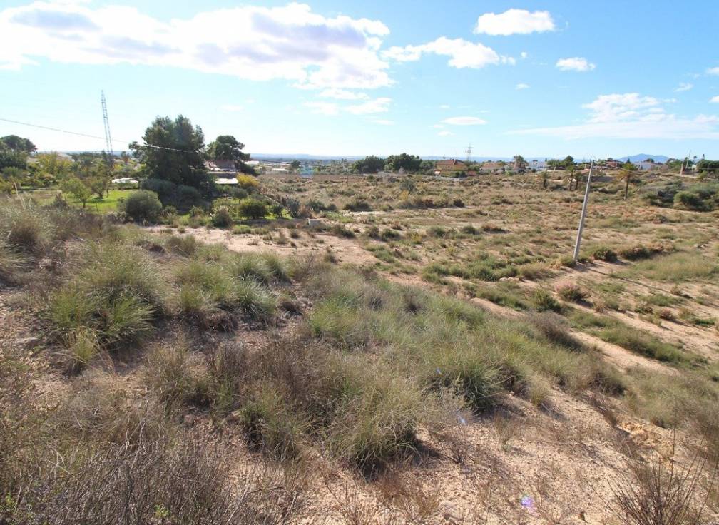 Revente - Terrain - Elche Pedanías - Peña las Águilas