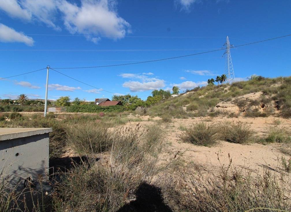 Revente - Terrain - Elche Pedanías - Peña las Águilas