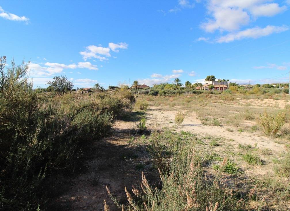 Revente - Terrain - Elche Pedanías - Peña las Águilas