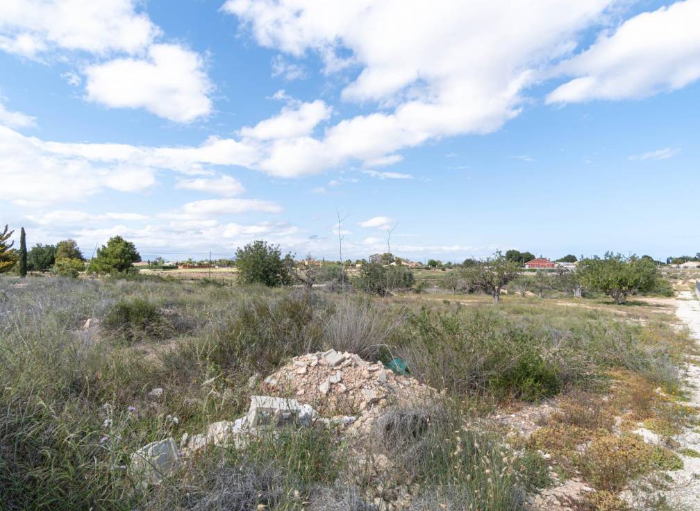 Revente - Terrain - Elche Pedanías - Perleta