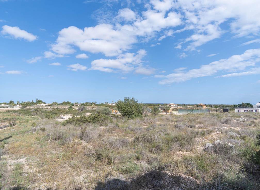 Revente - Terrain - Elche Pedanías - Perleta