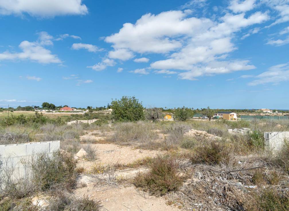 Revente - Terrain - Elche Pedanías - Perleta